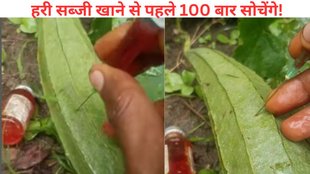 Viral Video, shocking video, Shocking, viral marathi news,
