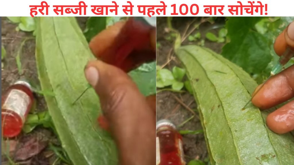 Viral Video, shocking video, Shocking, viral marathi news,
