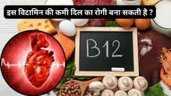 क्या विटामिन B12 की कमी से हार्ट अटैक का खतरा बढ़ता है? कैसे ये विटामिन दिल से जुड़ा है, डॉक्टर से जानिए