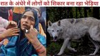 Bahraich News, Wolf Attack, Wolf attack on child