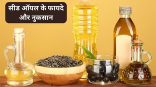 Are vegetable oils healthy, Seed oil debate, Sunflower oil, Canola oil, Safflower oil, Cottonseed oil, Grapeseed oil