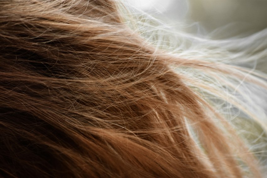 2 Ingredients Endless Benefits Aloe Vera and Coconut Oil for Silky Healthy Hair