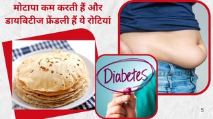 Low-calorie roti, Sugar-free roti, Healthy roti alternatives, Best rotis for weight loss, Roti for diabetes, Whole grain roti, High fibre roti, Protein rich roti,