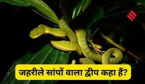 Where is the Snake Island