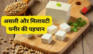 How to Identify Real and Adulterated Paneer