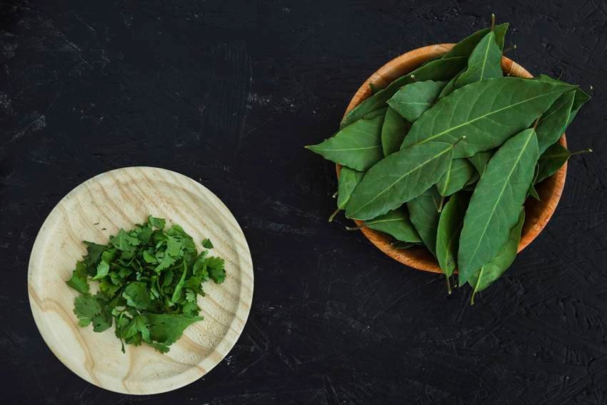 aloe vera and curry leaves for thick hair