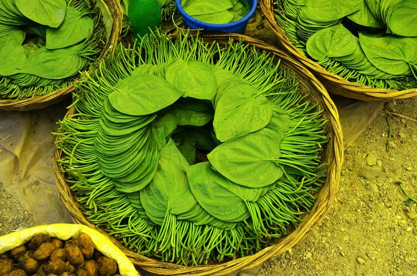 Amazing Health Benefits of Betel Leaf