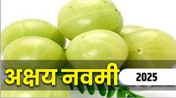 Amla Navami 2025 Date: 30 या 31 अक्टूबर कब है आंवला नवमी? जानिए तिथि, शुभ मुहूर्त और धार्मिक महत्व