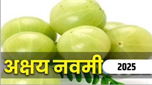 akshay navami 2025 date, amla navami 2025, amla navami kab hai