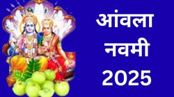 Amla Navami 2025: आंवला नवमी आज, इस सही विधि से करें पूजा, भगवान विष्णु के साथ शिव जी की बरसेगी कृपा