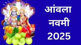 Amla Navami 2025, Amla Navami 2025 Date, Amla Navami 2025 Tithi, When is Amla Navami 2025, Amla Navami 2025 Shubh Muhurat, Amla Navami 2025 Puja Vidhi, Amla Navami 2025 kab hai, Amla Navami Significance, Amla Navami Puja Vidhi, आंवला नवमी, आंवला नवमी पूजा विधि, आंवला नवमी का महत्व, कब है आंवला नवमी, आंवला नवमी किस तारीख को मनाई जाएगी, Amla Navami 2025 Shubh Muhurat and Puja Vidhi