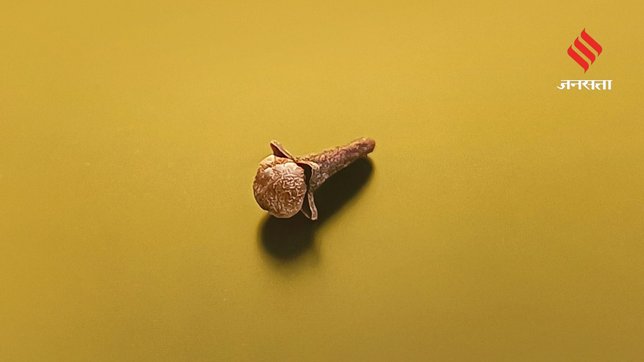 Anti-inflammatory spices