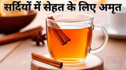 बुढ़ापा रोकने से लेकर सर्दी-जुकाम सही करने की ताकत रखती है ये आयुर्वेदिक जड़ी-बूटी, फायदे जानकर आप भी सेवन करना कर देंगे शुरू