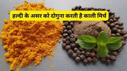 इन 4 कारणों की वजह से हल्दी के साथ करें काली मिर्च का सेवन, दोनों मसालें सेहत पर कैसे करेंगे चमत्कार, जानिए