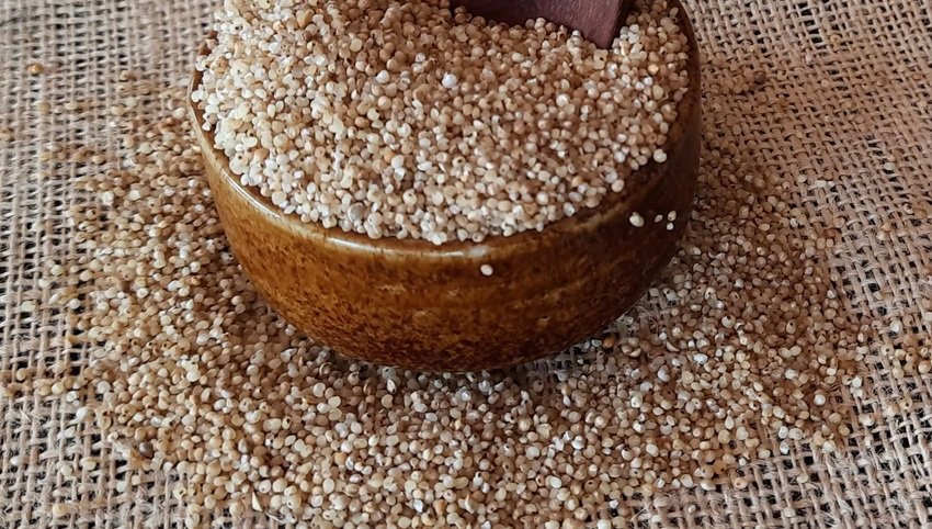 Barnyard Millet
