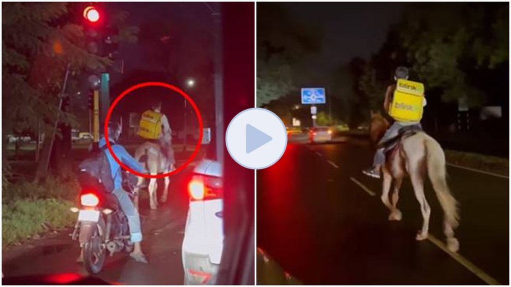 Blinkit Video Viral, Blinkit Delivery boy, Delivery boy horse, horse video viral,