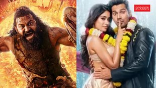 Box Office Collection