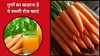 सर्दी में अमृत का काम करेगा इस सब्जी का जूस, हर रोज़ पिएं तो गालों पर आ जाएगी सुर्खी, डॉक्टर से जानिए 5 बड़े फायदे
