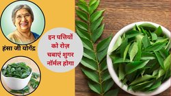 करी पत्ते का सेवन अगर सिर्फ 14 दिनों तक किया जाए तो सेहत पर कैसा होता है असर, हंसा जी योगेंद्र से जानिए