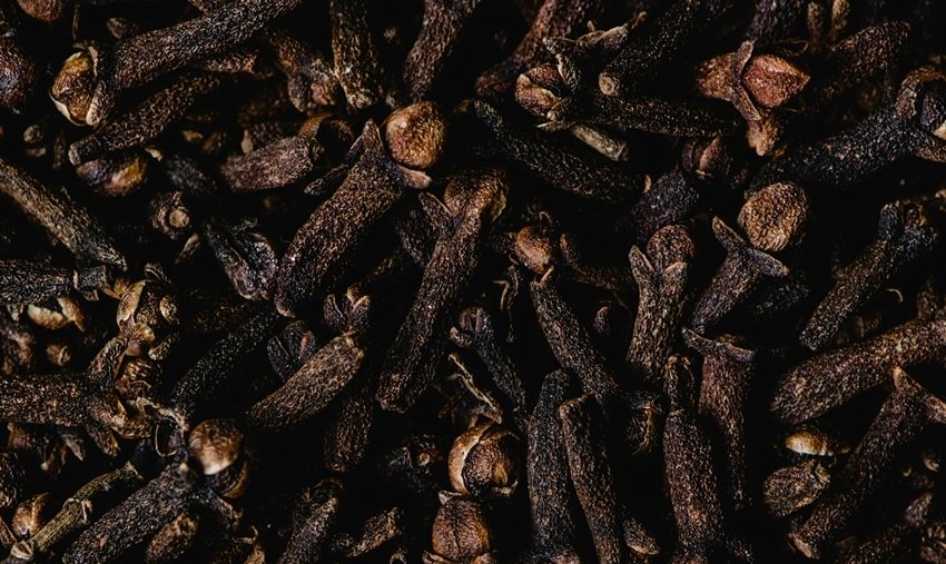Cloves for oral health