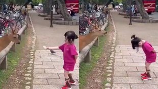 Cute Girl Viral Video, Viral Video, Trending Video