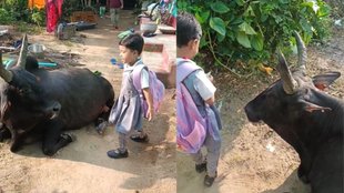 Cute Viral Video, Viral Video, Trending Video