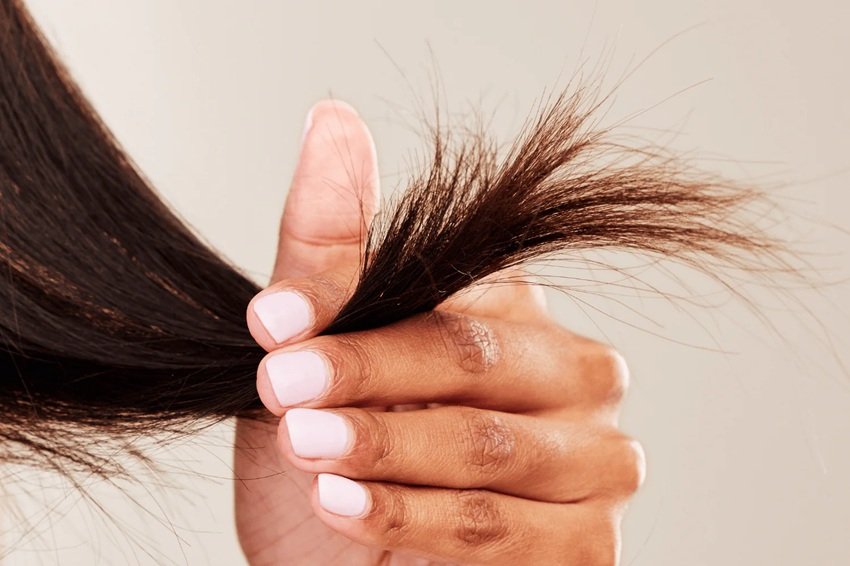 DIY Hair Masks to Get Rid of Split Ends and Boost Hair Growth