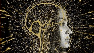 Deepfake, Deepfake Laws. Deepfake news