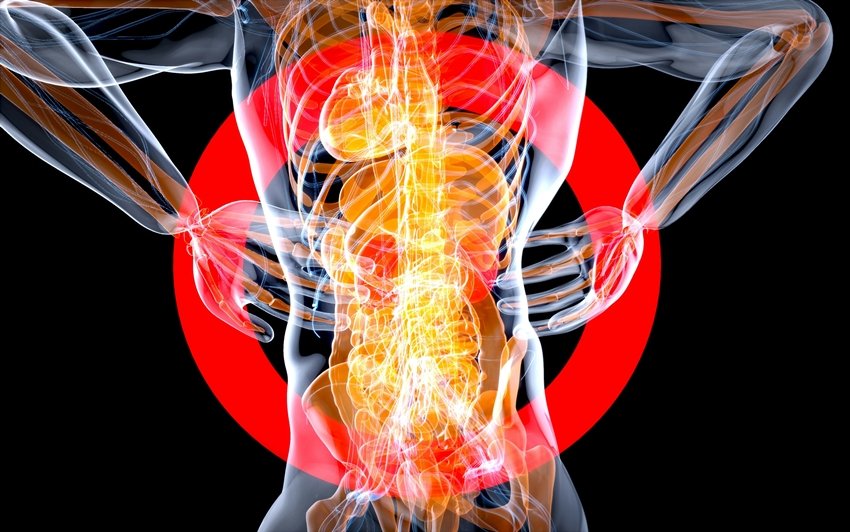 Deficiency of These Vitamins Can Cause Back Pain