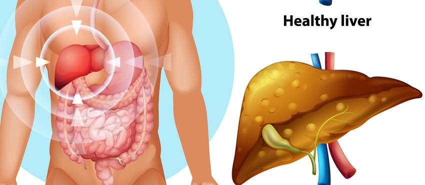 liver detox foods