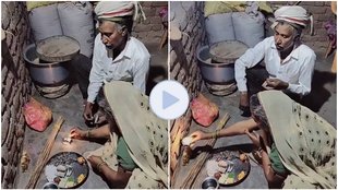 Diwali 2025, Diwali Celebration, Video Viral, Diwali Celebration Video Viral, Diwali Video Viral,