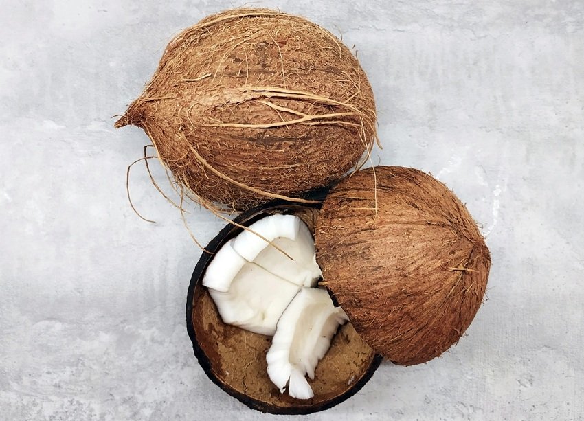 Do not Throw Away Coconut Husk Here Are 7 Useful Tips