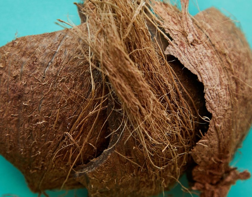 Easy Uses of Coconut Husk