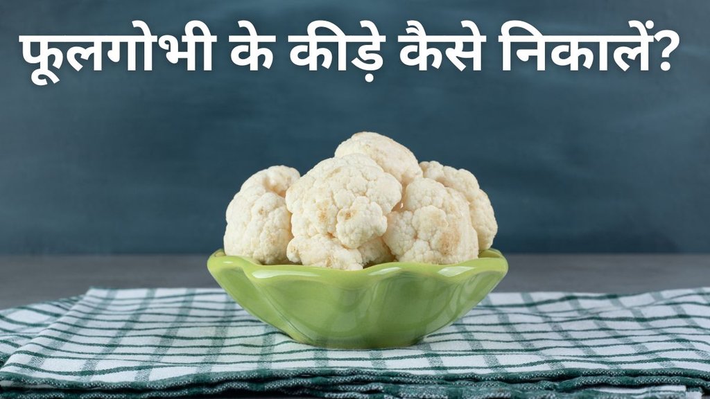 Easy hacks to remove worms from cauliflower | gobhi ke kide kaise saaf karen | gobhi saaf karne ka tarika