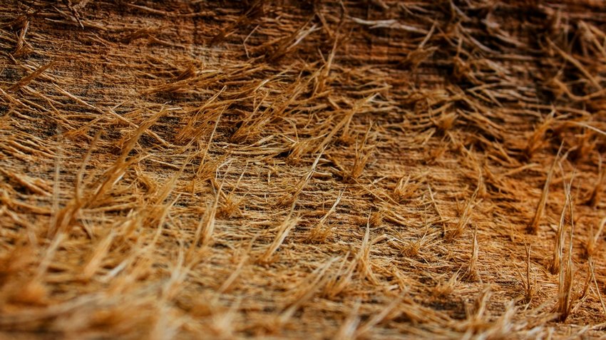 Eco-Friendly Hacks 7 Practical Uses of Coconut Husk