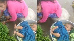 मां से बढ़कर कोई योद्धा नहीं, धान की रोपनी करती दिखी महिला, पास ही गमले में तैर रही बच्ची का ऐसे रखा ख्याल, Viral Video देख लोगों ने किया सैल्यूट