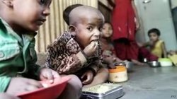 विचार: थाली आधी भरी, पेट खाली – क्या कभी खत्म होगी दुनिया से भूख की कहानी? 29.5 करोड़ लोगों के पास एक वक्त का भी खाना नहीं