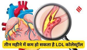 foods to lower LDL cholesterol