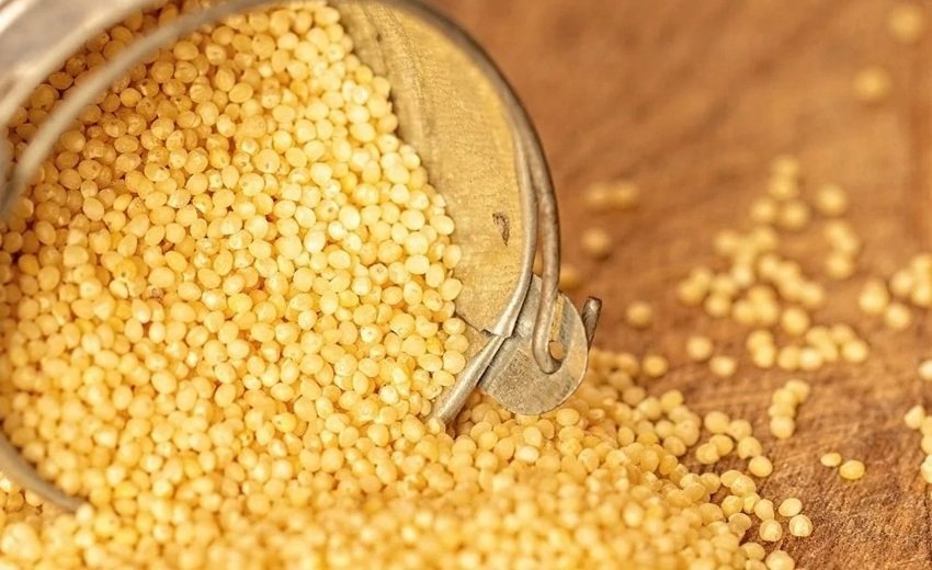 Foxtail Millet