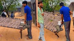 स्कूल ना जाना पड़े इसलिए चारपाई से सांप की तरह लिपट गया बच्चा, घरवाले भी निकले होशियार, किया कुछ ऐसा, Video हो रहा Viral