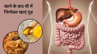 jaggery with ghee benefits,jaggery benefits,gut health improvement,ghee health benefits,Ayurvedic remedy for digestion,Ayurveda, рдЦрд╛рдиреЗ рдХреЗ рдмрд╛рдж рдЧреБрдбрд╝ рдФрд░ рд▓рдбреНрдбреВ рдХреНрдпреЛрдВ рдЦрд╛рдирд╛ рдЪрд╛рд╣рд┐рдП