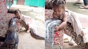 Girl Viral Video| Snake Viral Video| Viral Video