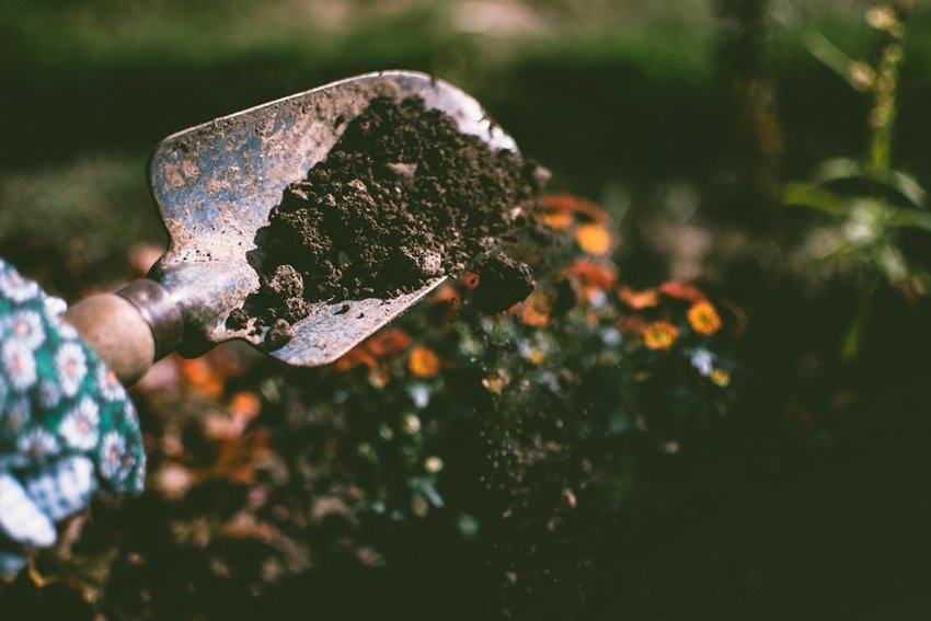 Give your skin hair and home a natural glow with something you usually throw away