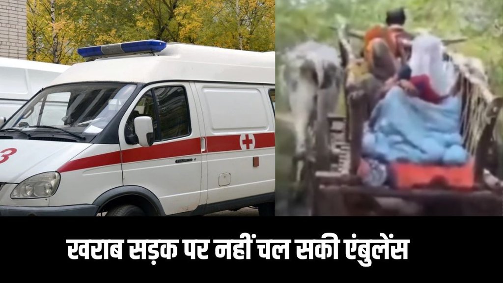 Hamirpur, pregnant woman, bullock cart, development reality Hamirpur, pregnant woman, bullock cart, development reality