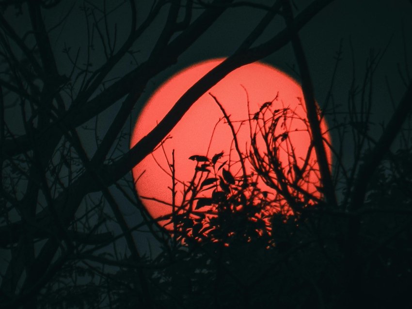 Haunted India Dare to Visit These Spine-Chilling Places This Halloween