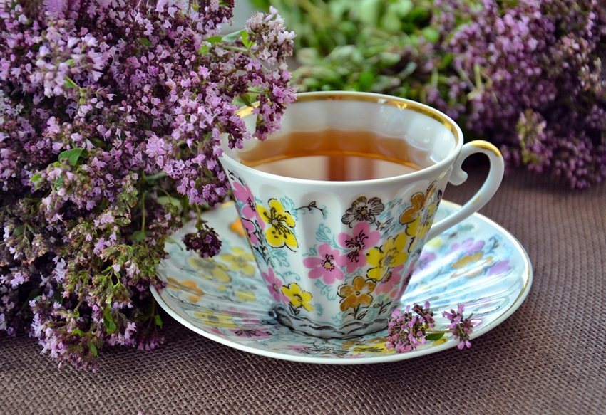 How Much Water Should You Drink Daily for Healthy Kidneys