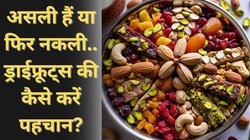 त्योहार पर गिफ्ट में मिले हैं ड्राई फ्रूट्स, इन तरीकों से करें असली और नकली मेवे की पहचान