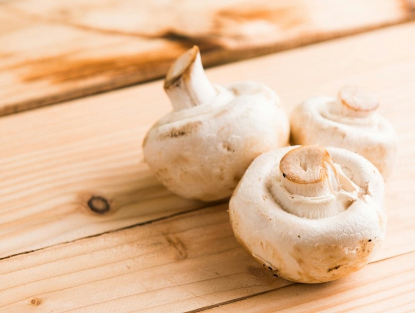 Improve Gut Health Control Blood Sugar with Mushrooms