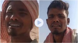 ‘मुझे मां के पास जाना है’, सऊदी अरब में ऊंट चराने को मजबूर किया गया इंद्रजीत; अब रोते हुए वापस आने की लगा रहा गुहार