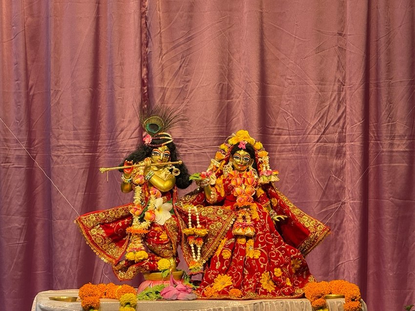 Keep Your Home Safe and Prosperous Idols You Must Avoid According to Vastu